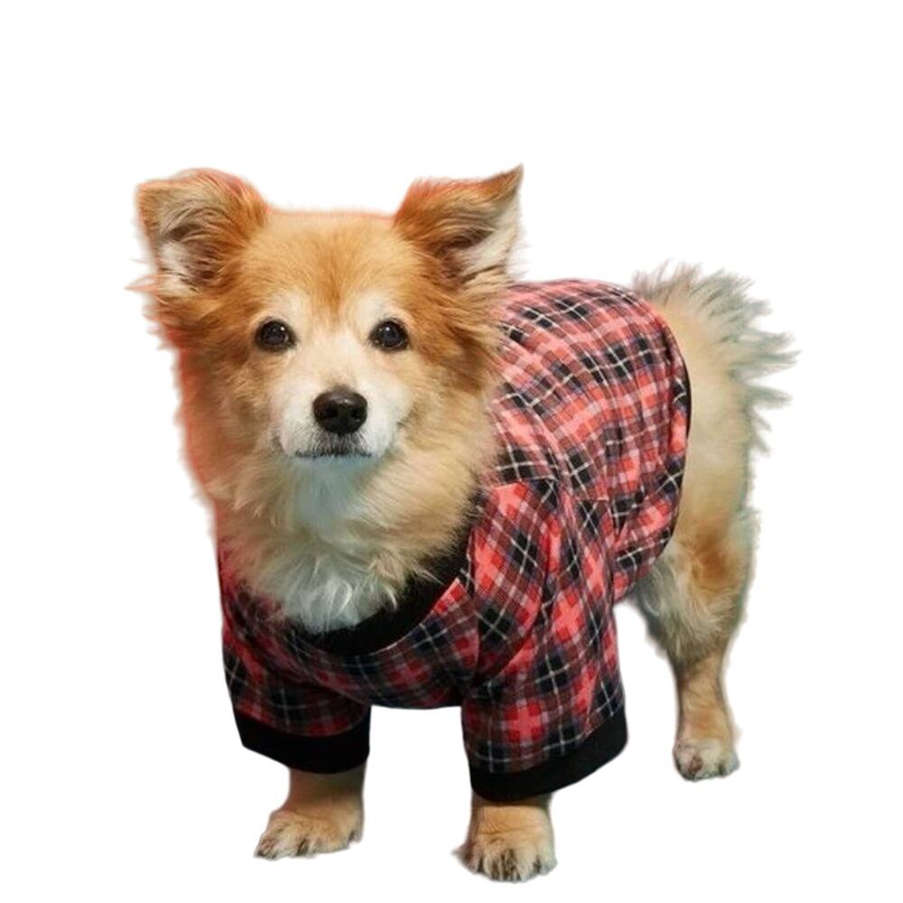 ModCloth Christmas Dog Size L Plaid‎ You're Mine Pet Tee NWT